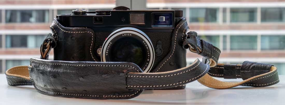 Leather Bag Shoulder Strap Repair Using Chicago Screws. Day 1312 